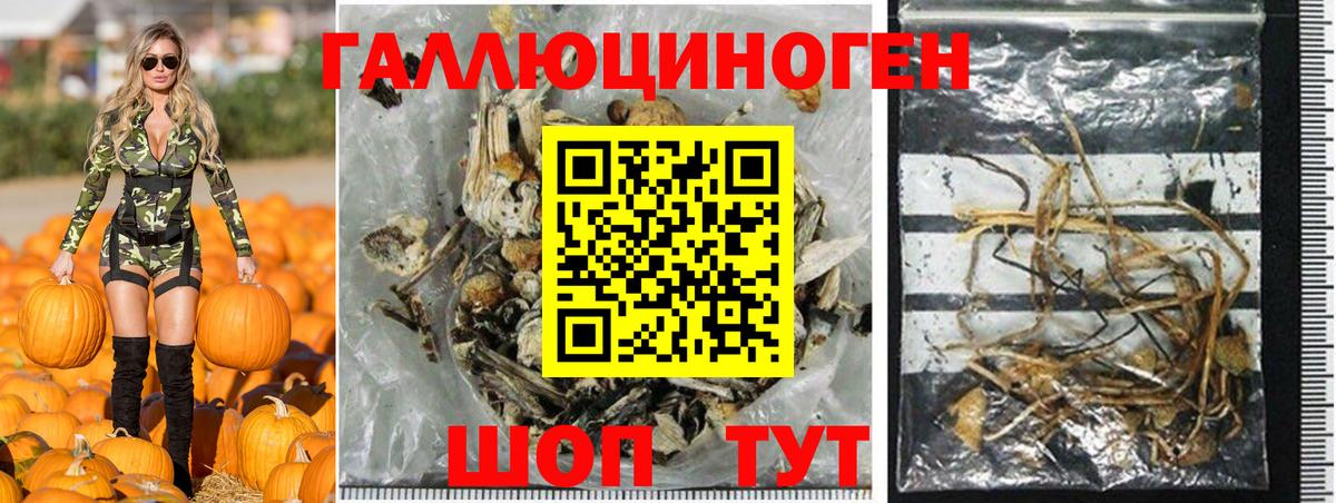 Галлюциногенные грибы мухоморы Новокубанск