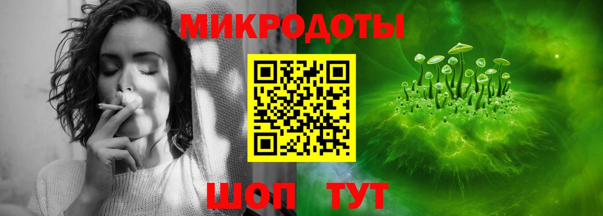 где найти   Псилоцибиновые грибы прущие грибы  Галлюциногенные грибы Psilocybe  Вход с VPN  Новокубанск 